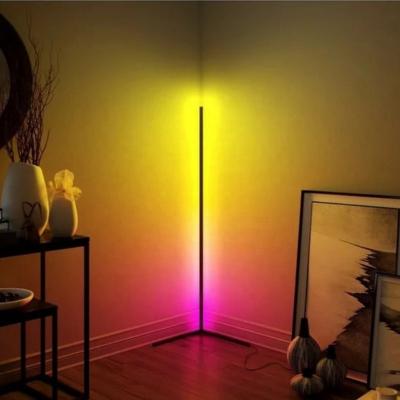 China New 2021 Residential Designer Rainbow Etch RGB Remote Control Dimming Bracket Lighting Led Floor Lamp RGB Sunset Corner Lamp for sale