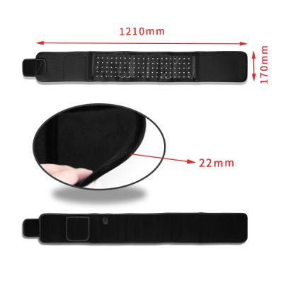 China Lose Weight Factory REDYUT Red Light Therapy Led Therapy Belt 660nm 850nm Horse Red Light Therapy Belt Wrap For Pets for sale