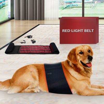 China 2021 Hot Selling Weight Loss Home Use Infrared Light Red Light Therapy Belt For Body Slimming for sale