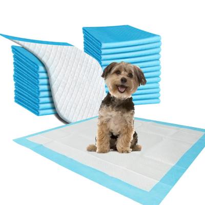 China Pads de urina descartáveis de alta absorção azul / branco para cães à venda