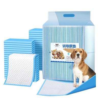 China Odor Control Non Slip Quick Drying Reusable pet training pads for sale