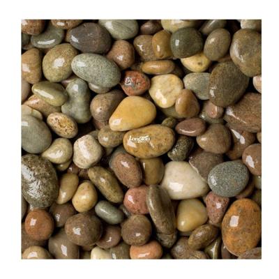 China Contemporary Cafe Brown Pebble Garden Paving Pebble Stone Outdoor Mosaic Swimming Pool Paving Stone Mosaic for sale