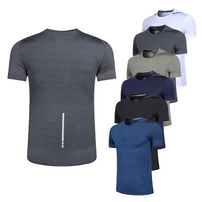 China Outdoor Running Fitness Jogger T-shirts Anti-wrinkle Summer Sport Wear Shirt Compression Active Gym Shirt For Men for sale