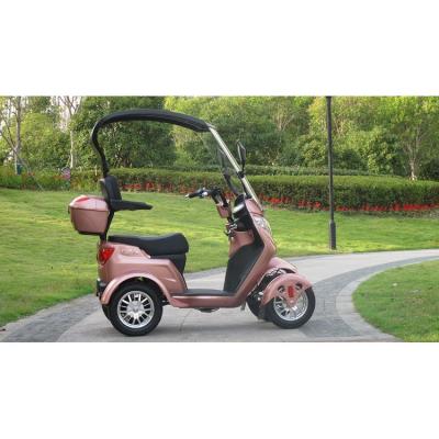 China Four-wheel Car Guided Four-wheel Outdoor Walking Car for sale