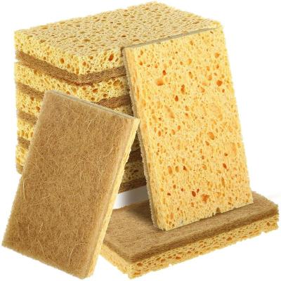 China Sustainable Coconut Palm or Sisal Wood Pulp Cotton Dish Washing Sponge for sale