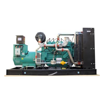 China English Control System 300KW 375kva Natural Gas Powered Electricity Generator with CE/ISO for sale