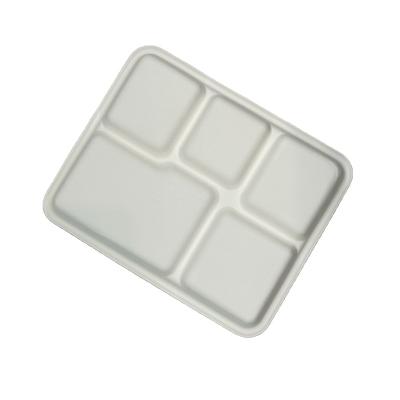 China Go Away 5 Compartment Bagasse Square Plate Disposable Compostable Sugarcane Pulp Dish for sale