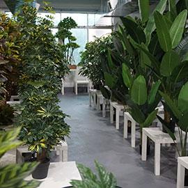 Verified China supplier - Shenzhen Sinleen Artificial Plants Co., Ltd.