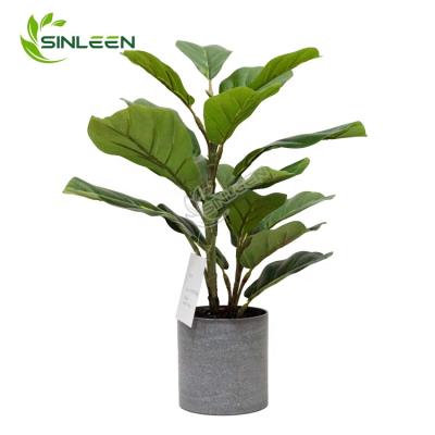 China 2020 Indoor Artificial Lyrata Fiddle Leaf Fig Tree Decorative Indoor Ficus Plant for sale