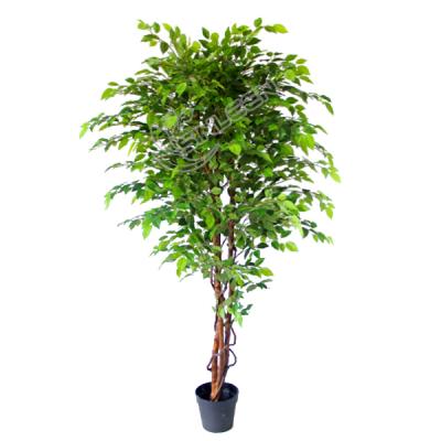 China Indoor Decoration 180cm Indoor Artificial Ficus Tree Plant for sale