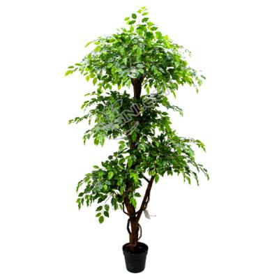 China Indoor Decoration 180cm Indoor Artificial Ficus Tree Plant for sale