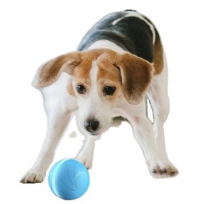 China New and Special Viable Pet Toy Dog Like Chewing and Playing Automatic Electric Ball for sale