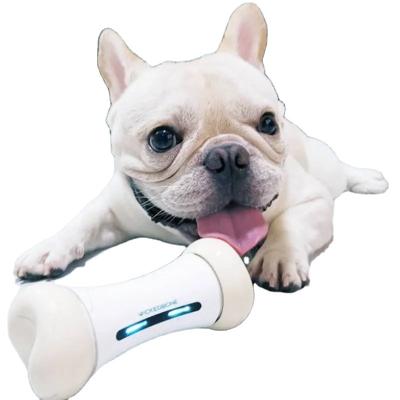 China Viable WickedboneSmart and Interactive Toy Chew Bone Toy Dog for sale