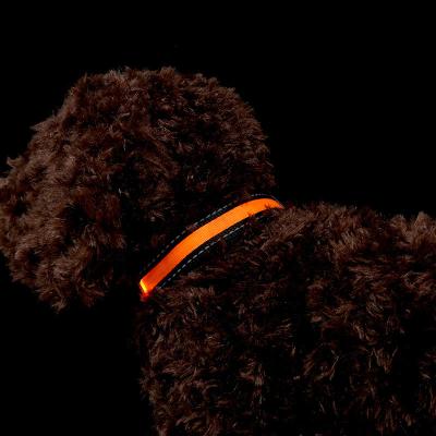 China Lights Amazon Bestseller Set Soft Unique Reflective Rope And Collar Led Pet Lights Collar Glowing Pendant Night for sale