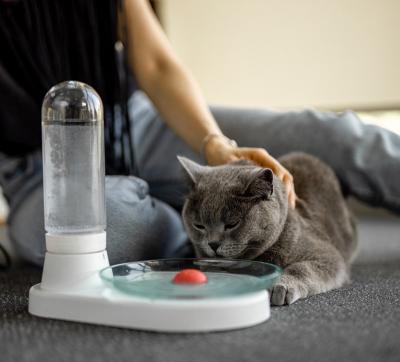 China Automatic High Quality Smart Pet Cats Water Collapsible Pet Travel Water Feeder for sale