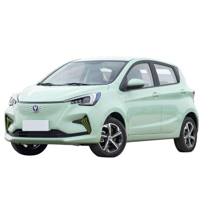 China New Energy EV Mini Car Changan Benben E-Star Small Electric Car for sale