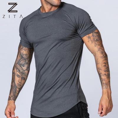 China Breathable Breathable Muscle Fit Mens Sports Training Curved Hem Logo Top Custom T-Shirts for sale