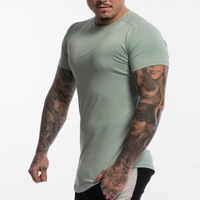 China Breathable Super Soft Workout Round Neck Muscle Fitness Gym Clothing Round Neck Pattern Cotton Running T Shirt For Men for sale