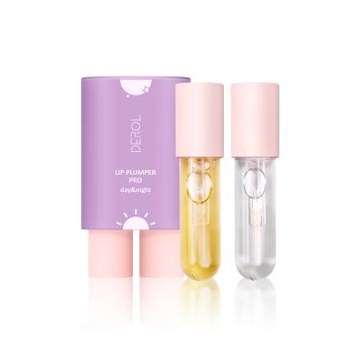 China Acne Treatment 2021 New Style Vegan Lip Gloss High Quality Lip Plumper Plumper Private Label Lip Plumper for sale