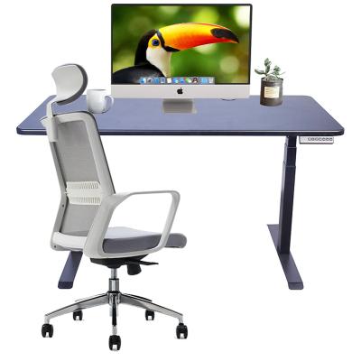 China Electric Height Adjustable Computer Desk (Height) Ergonomic Adjustable Desk Sitting Dual Motor Standing Desk for sale