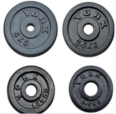 China cast iron dia25mm solid painting plates for weight dumbbells for sale