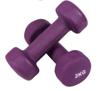 China 0.5kg 1g 2kg 3kg 4kg 5kg 6kg 7kg 8kg 9kg 10kg colorful Vinyl coated / round edge dumbbell / cast iron dumbbell for sale