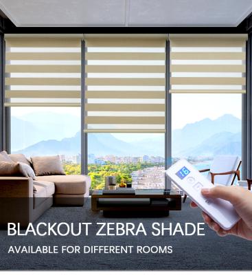 China High Quality And Best Selling Minimalist Zebra Blinds For Blackout Zebra Shades for sale