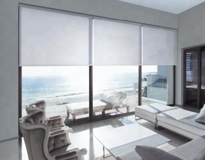 China Good quality minimalist and best seller roller shade with sunscreen and blackout fabric for sale