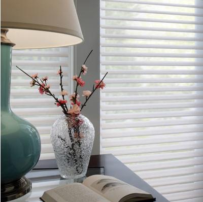 China Shangrila Customized Modern Minimalist Blinds Roll Pure Fabric Horizontal Window Blinds For Home/Office for sale