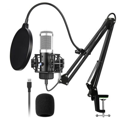 China USB Microphone Hot Selling Cardioid USB Game Pointing Microphone Main Suspension Mute Bracket for sale