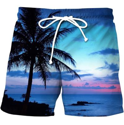 China Manufacturer Breathable Custom Summer Shorts For Men's Beach Pants 2022 Stretch Loose Four Way Trunks for sale