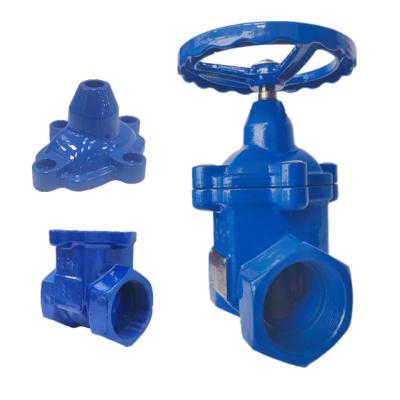 China General Chengdu chuanqiong brand soft seal gate valve a China valve supplier adopts stainless steel stem as cheap blue water valve for sale