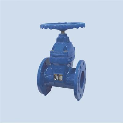 China DN65 DN80 DN100 PN16 General Soft Seal Flange Ductile Iron Gate Valve for sale