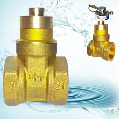 China Smart General Hard Seal Encryption Control Brass Gate Valve And Copper Valve At Front End Of Water Meter for sale