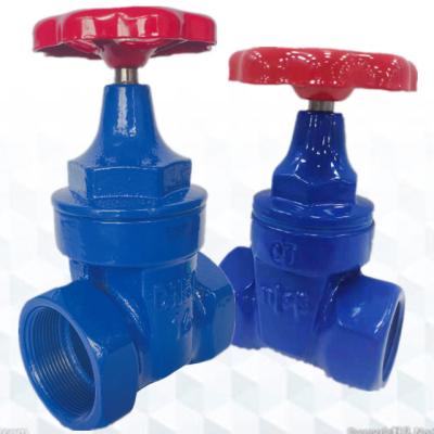 China General Chuan Qiong Brand Industrial Ductile Manual Valve Iron Gate Valve Soft Seal Low Price Water Valve Spare Parts for sale