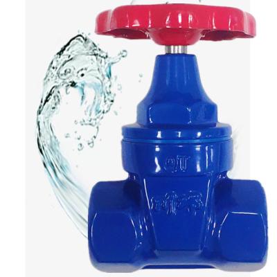 China General blue water valve adopts soft sealing process, zero leakage and maintenance-free pipe worm knife gate valve for sale