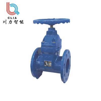 China DN65 DN80 DN100 PN16 General Soft Seal Flange Ductile Iron Gate Valve for sale