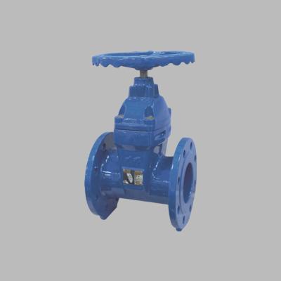 China DN65 DN80 DN100 PN16 General Soft Seal Flange Ductile Iron Gate Valve for sale