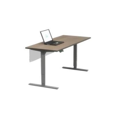 China Office Workstation Ergonomic Electric Height Adjustable Desk for sale