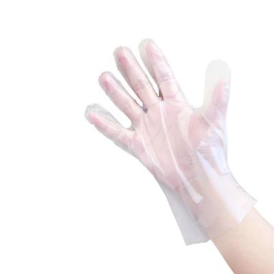 China PE food contact embossed transparent disposable environmental pe dog poop mitts / mitt waste glov pe bond pe mitt household for sale