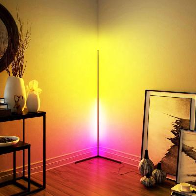 China Music Minimalist Corner Led Floor Lamp RGB Light Minimalist Led Fortuny Iron Floor Lamp Corner Floor Lamp for sale