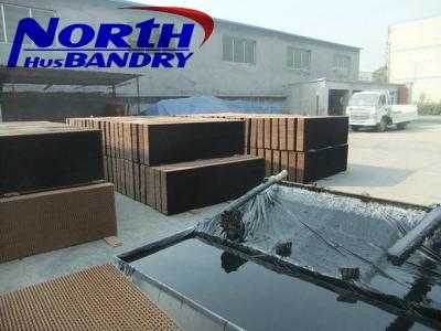 China poultry farm honeycomb evaporative cooling pad for sale