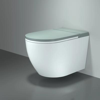 China High Quality Wholesale Sanitary Ware Rimless One-Piece Rimless Toilet White Wall Hung Toilet Wc Hidden Bathroom Pulse Toilet Cistern B for sale