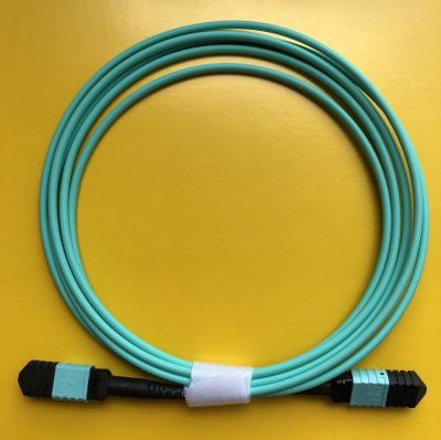 China 2M 12 Fiber MPO (Female) - MPO Patch MPO (Female) Cable 12 MPO-F-MPO-F for sale