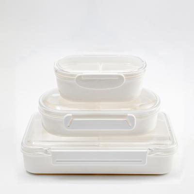 China Freshness Preservation Hot Selling Lunch Boxes European Adult Healthy Food Container for sale