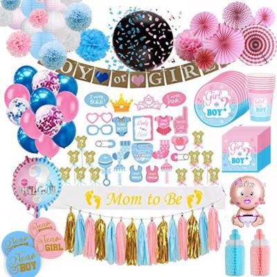 China New Design Disposable Decorations Baby Boys Or Girls Colorful Blue Pink Themed Set Gender Reveal Party Supplies for sale