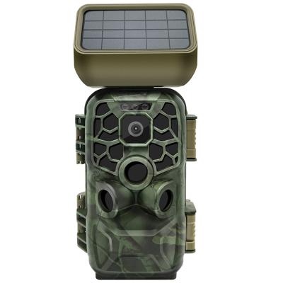 China New Arrival 4K Wildlife IR Trail Hunting Camera 24MP Photo Trap Solar Panel Weather-Resistant WiFi Optional for sale