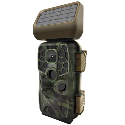 China 2021 Weather-Resistant Solar Panel Hunting Vivid APP Thermal Monitoring Camera Camera Wifi 4K 30fps Night Photo Trap for sale