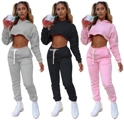 China Sustainable crop top T-shirt solid winter autumn fashion plus size women's sets shein 2022 new arrivals two-piece set tracksuit for sale