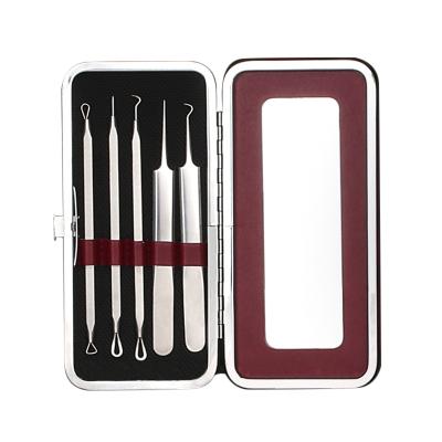 China New Hot Selling Professional 5 Piece Black Head Stainless Steel Blackhead Tool Kit Blackhead Acne Freckle Acne Blackhead Removal Beauty Tool for sale